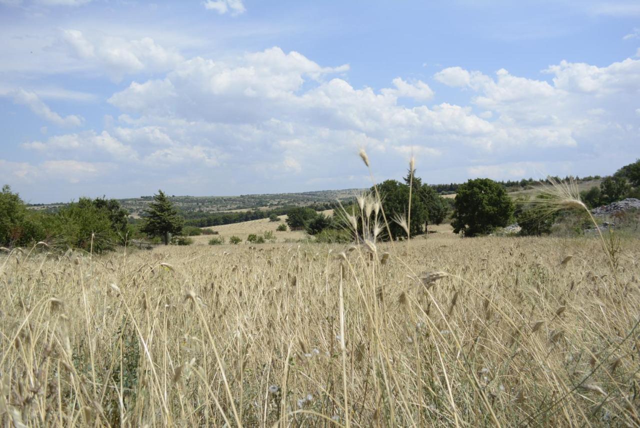 Agriturismo Poggio Ferrata Ruvo di Puglia Luaran gambar