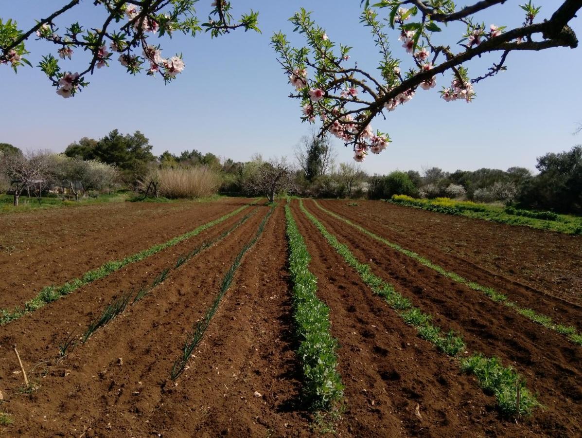 Agriturismo Poggio Ferrata Ruvo di Puglia Luaran gambar