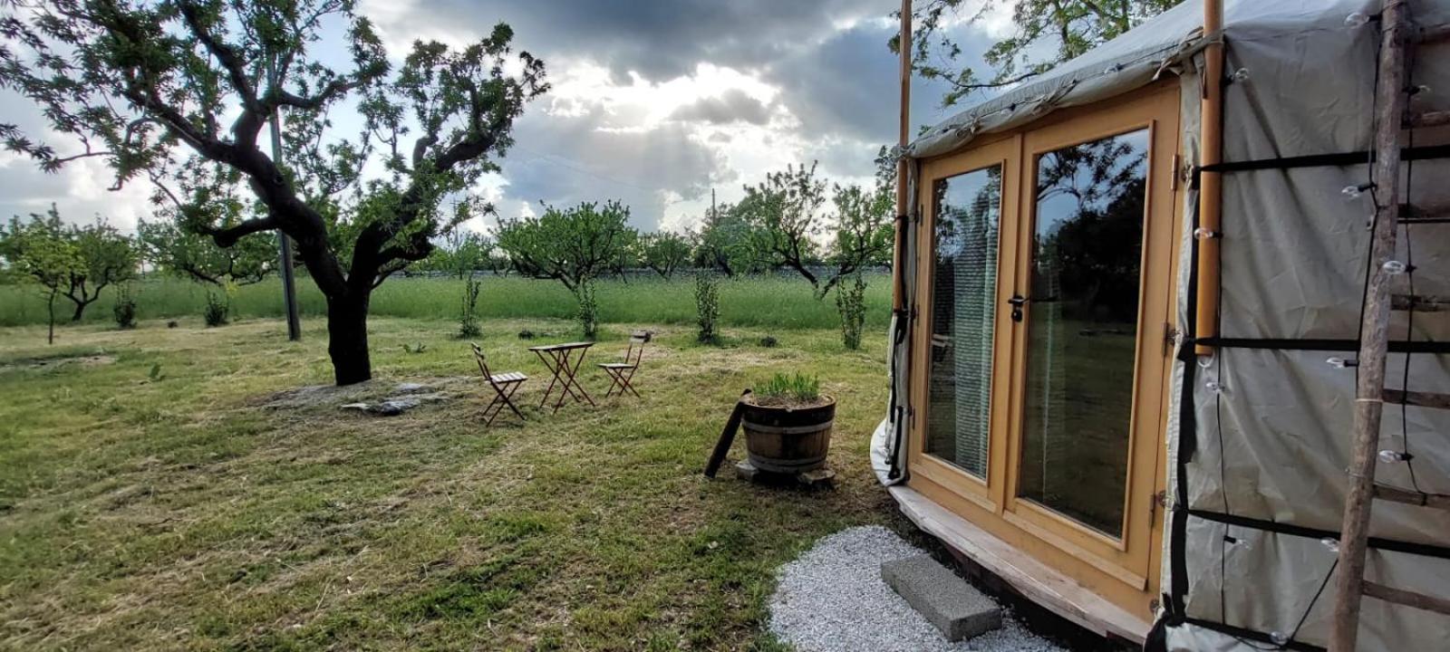 Agriturismo Poggio Ferrata Ruvo di Puglia Luaran gambar